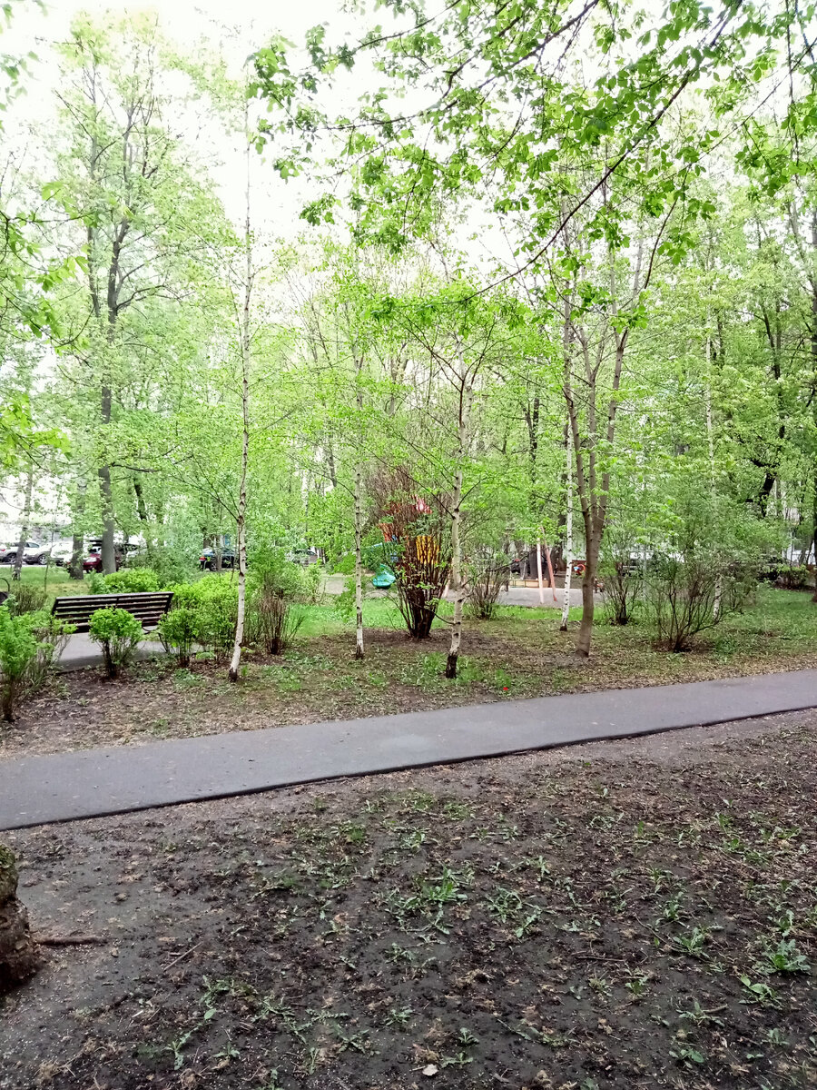 Свежесть и чистота после дождя