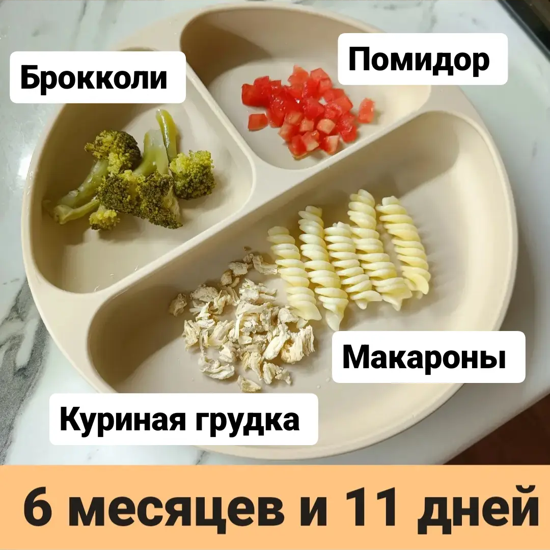 Пример тарелки прикорма для ребенка