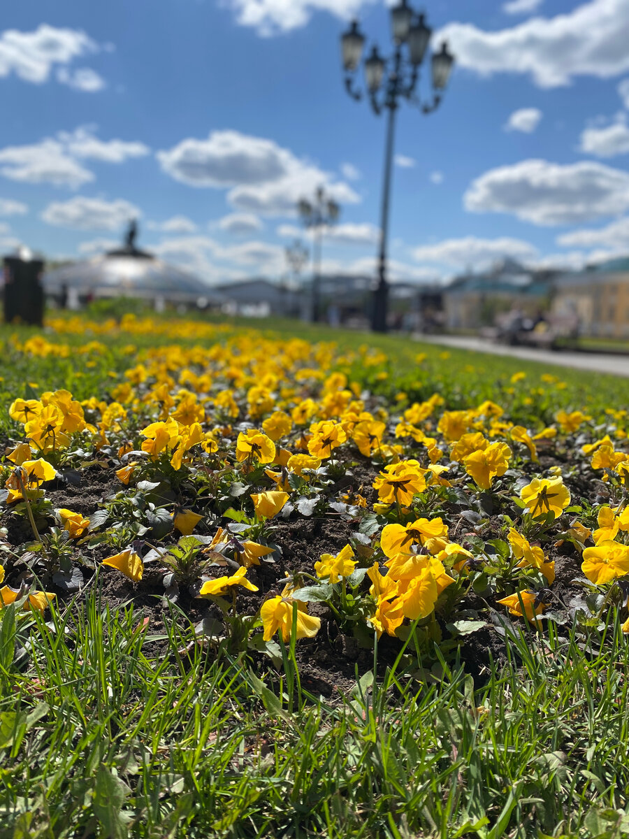 Фото автора. Все большое состоит из мелочей. К счастью это тоже относится… 