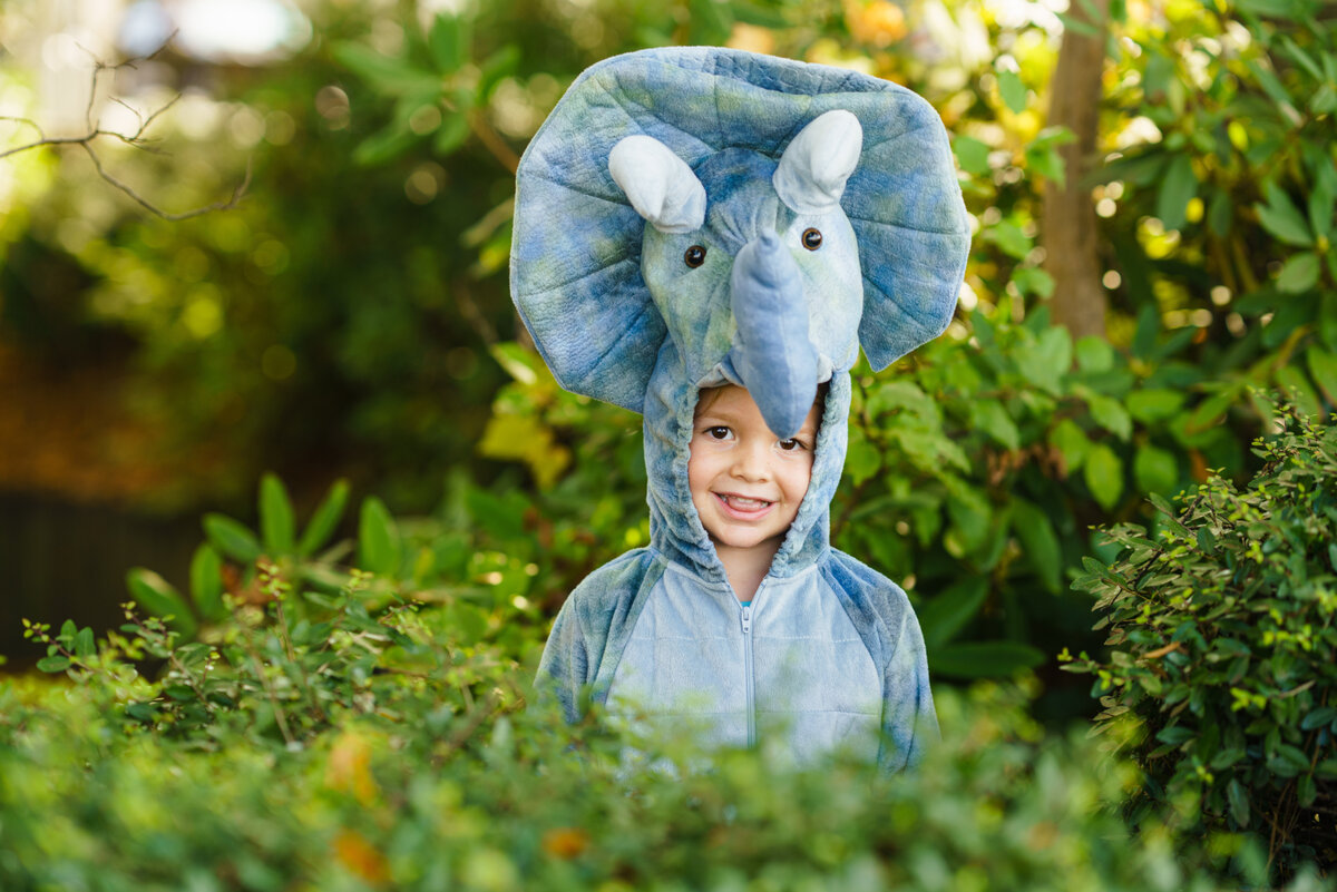 Photo by Jeremy McKnight on Unsplash