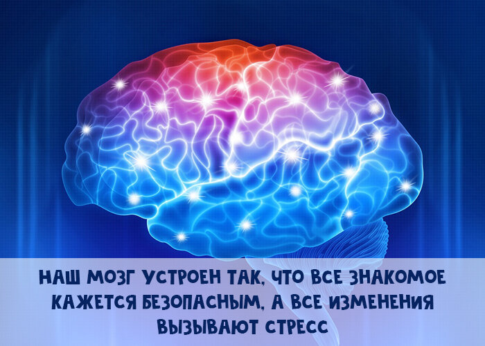 Calorizator.ru