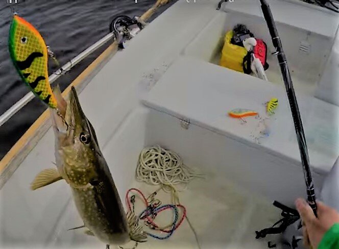 фото из интернет источников