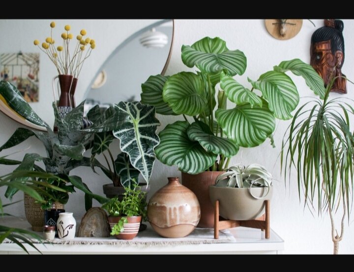 Фото из открытых источников.