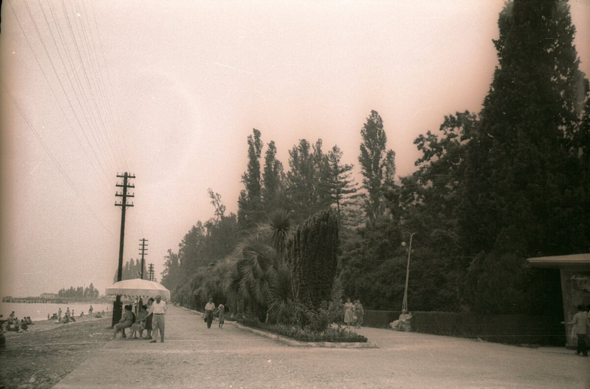 Вот так выглядела аллея, уходящая вдоль моря в сторону причала. 