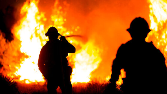   В Курганской области локализовали большинство природных пожаров Ирина Петрова