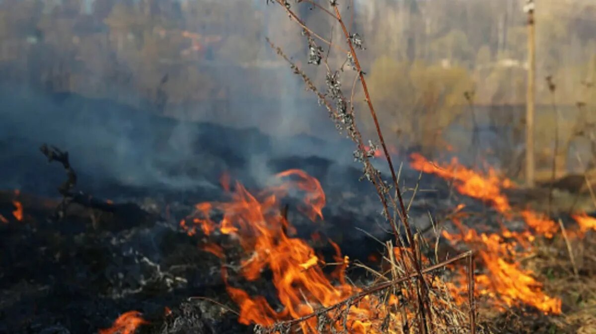 Фото: mpr.nso.ru