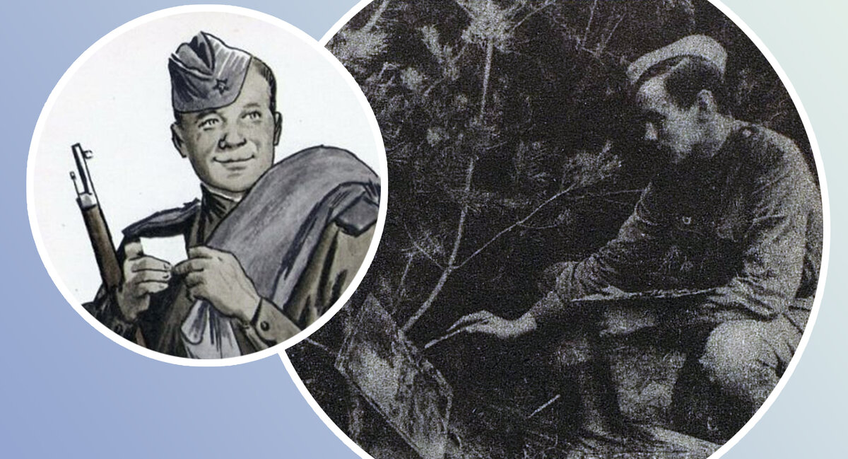 Коллаж автора.