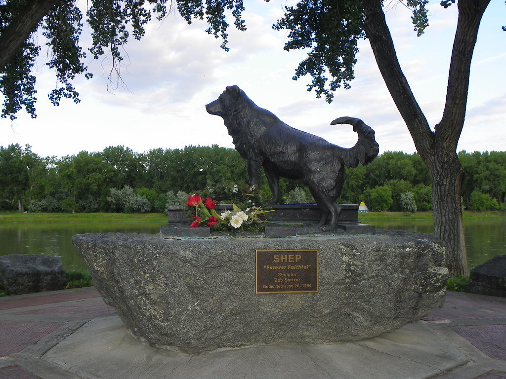 Фото из интернета. В свободном доступе.