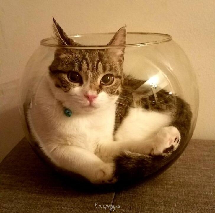 Источник: pinterest.com
