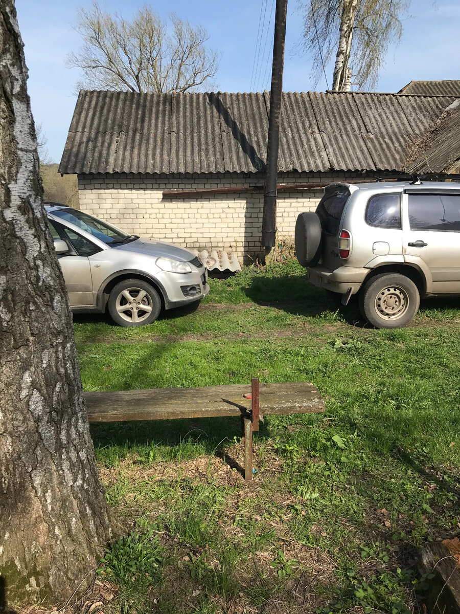 Фото автора. Подкрепление прибыло