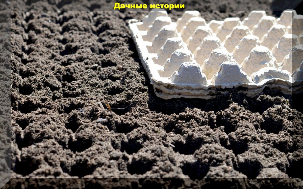 https://vk.com/photo-159774511_457260266
