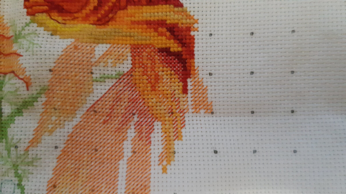 растут плавники