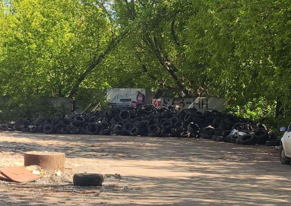    Работы пройдут в июле Анастасия Красушкина