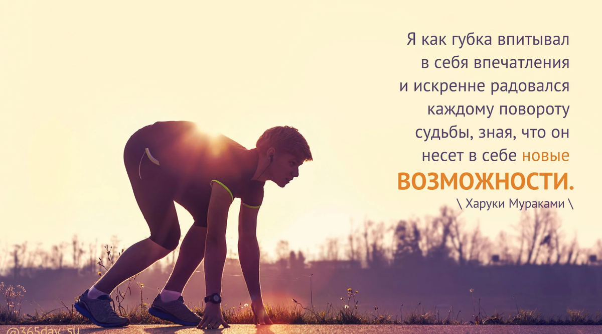 Впечатления цитаты. Впечатления афоризмы. 365 Мотивация. Высказывания о новых впечатлениях.