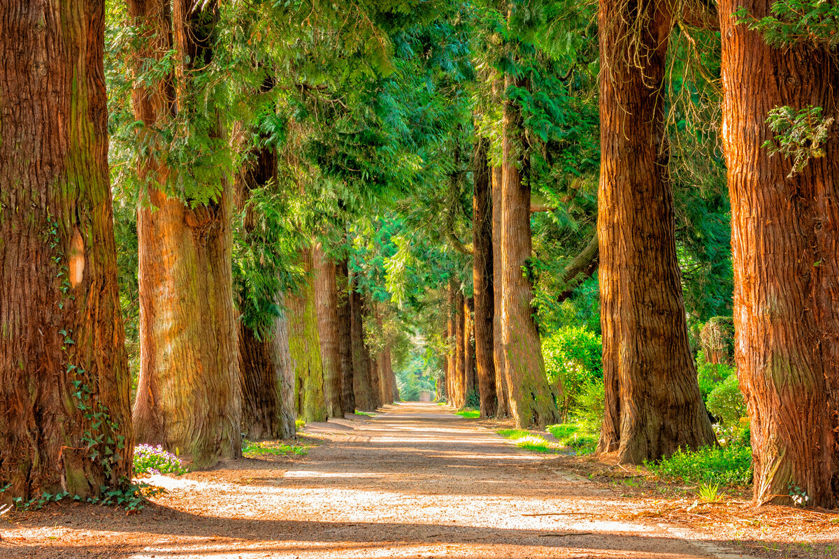    Фото: Peter H / Pixabay.com