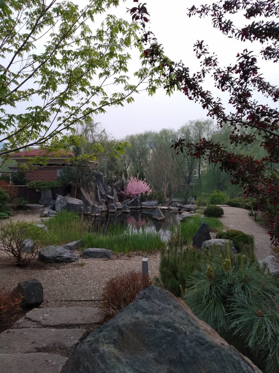 Екатеринбург, Фото автора, Кто найдет главный дендрологический самурайский символ?