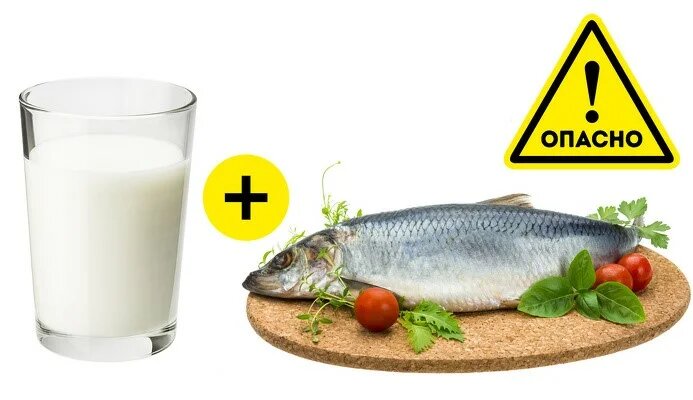 Изображение взял с сервиса Яндекс Картинки 