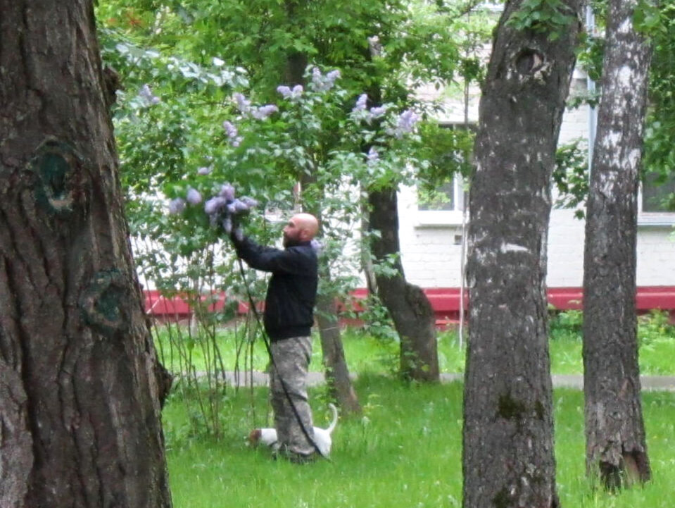 Продолжает ломать.