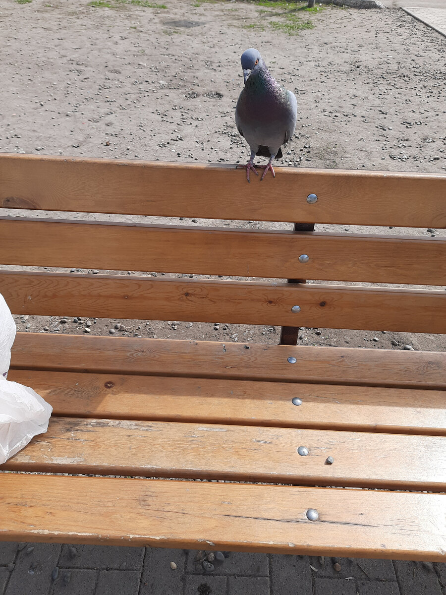 тоже интересуется! 