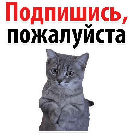 Из интернета 
