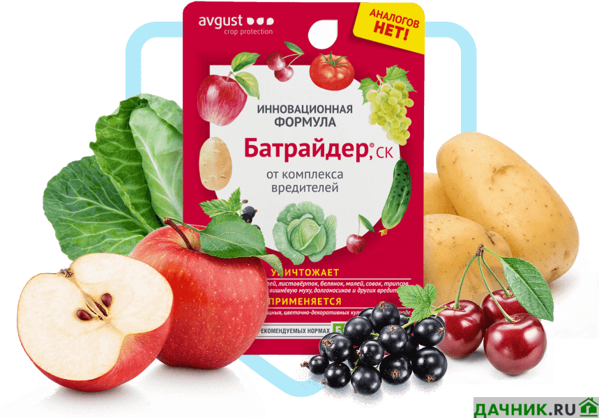 Инсектицид Батрайдер: правильная инструкция по применению препарата от ...