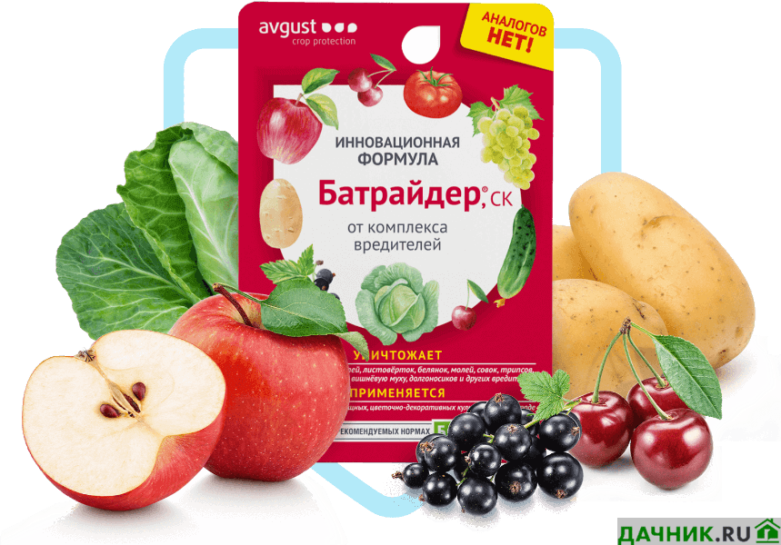 Средство от комплекса вредителей. БАТРАЙДЕР 10мл. (От вредителей) август кор/80шт. Средство от вредителей БАТРАЙДЕР 10мл. БАТРАЙДЕР 10 мл. БАТРАЙДЕР от вредителей 10 мл.