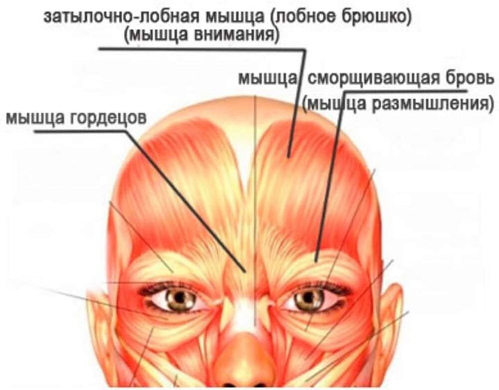 Как убрать межбровную морщину. Кинезиотейпирование и другие способы