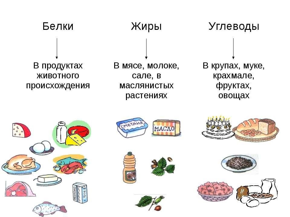 Питание состоит из трех