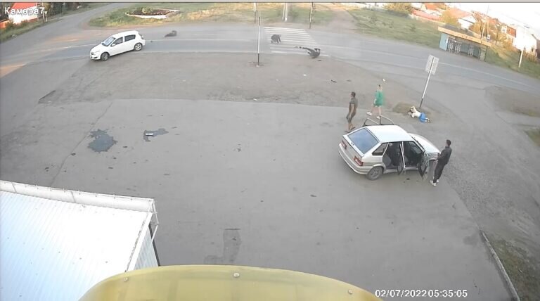    Жителя Саракташа, пытавшегося задавить 7 человек, приговорили к восьми годам колонии Кристина Просвиркина