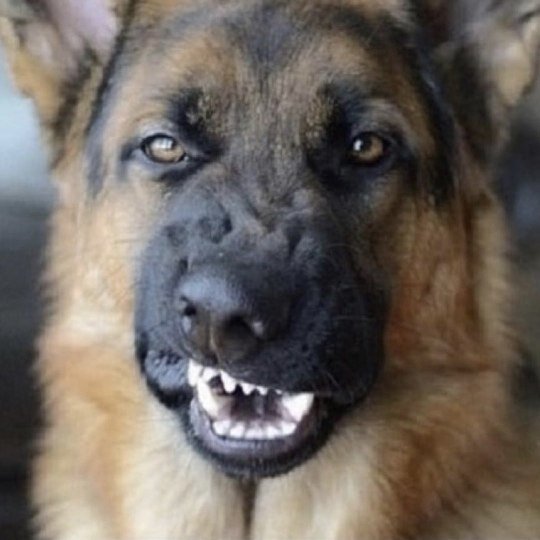 Все фотографии из открытых источников интернета