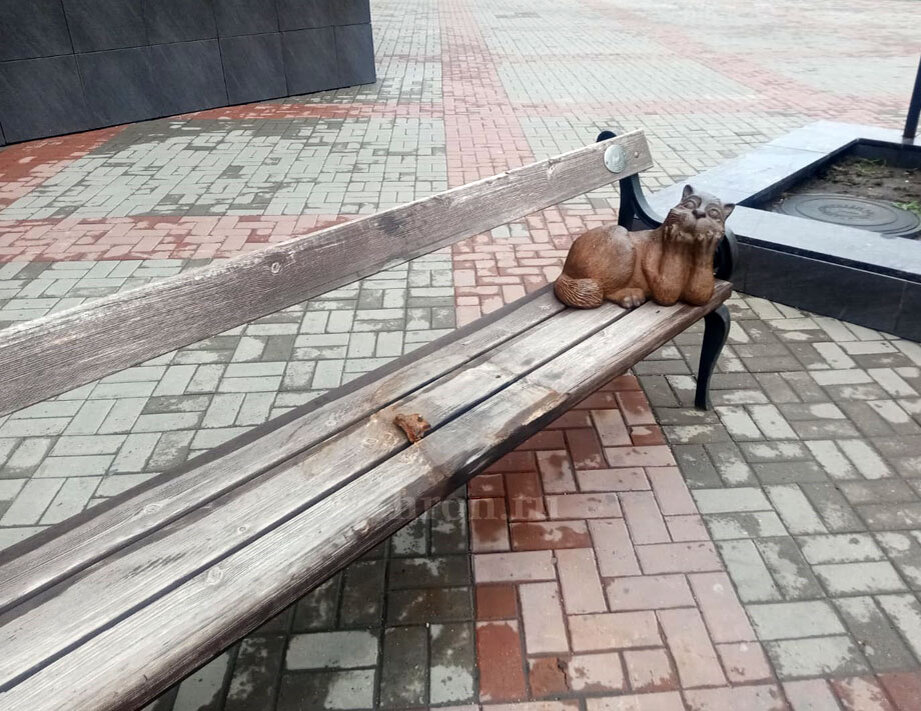 Фото Надежды Савраевой