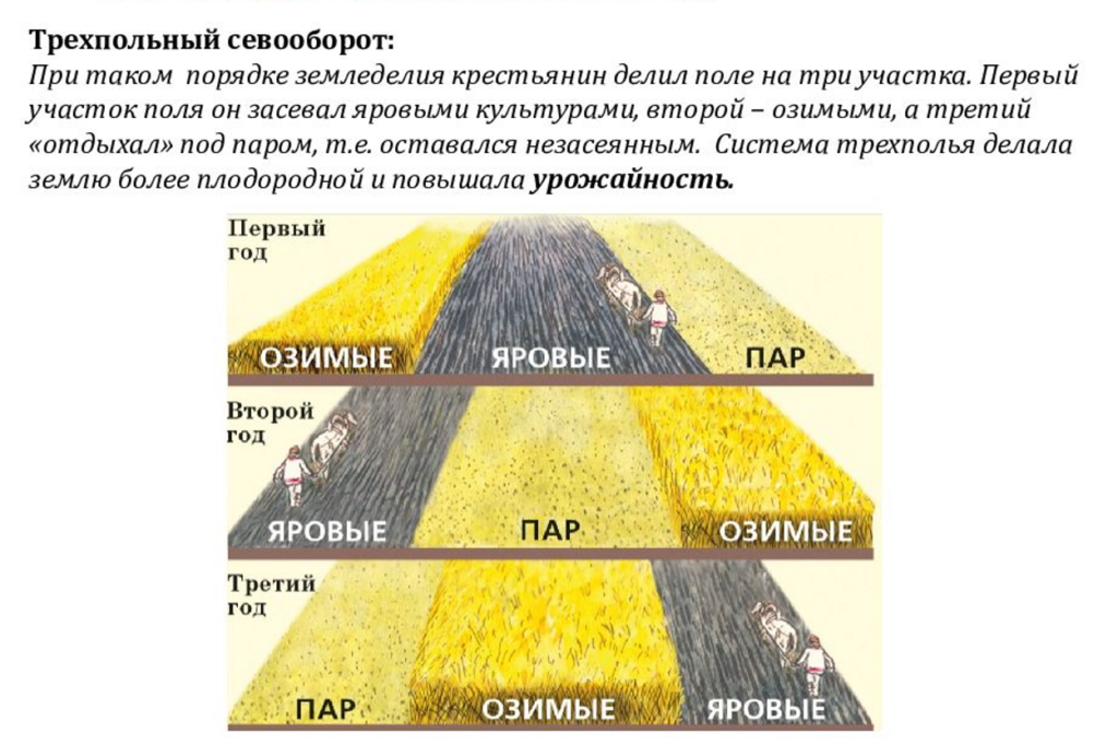 Трехпольный севооборот. Трехпольная система. Трехпольное земледелие. Система земледелия Трехполье.