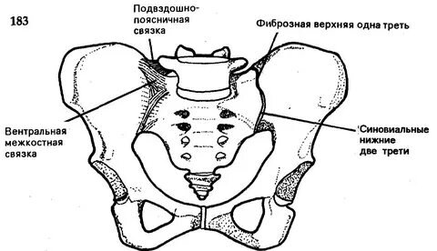 Изображение взято в Яндекс картинках