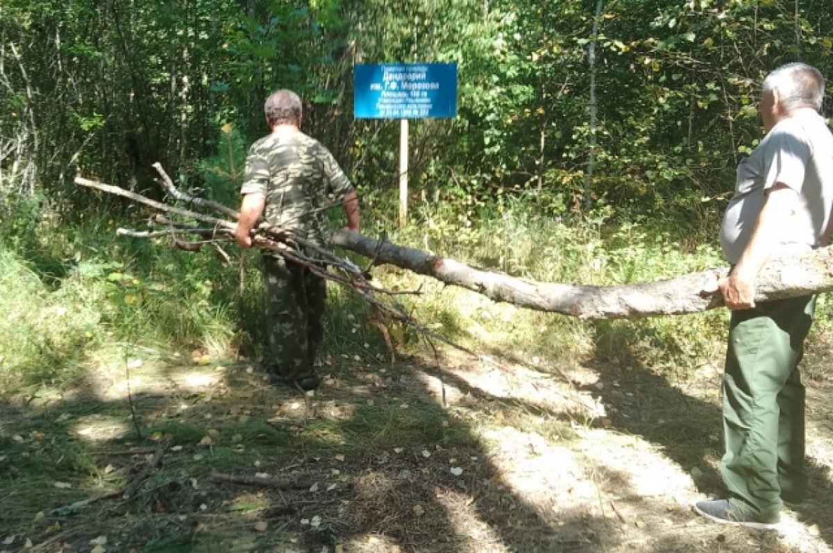    В Пензенской области начали восстанавливать «Дендрарий им. Г.Ф. Морозова»