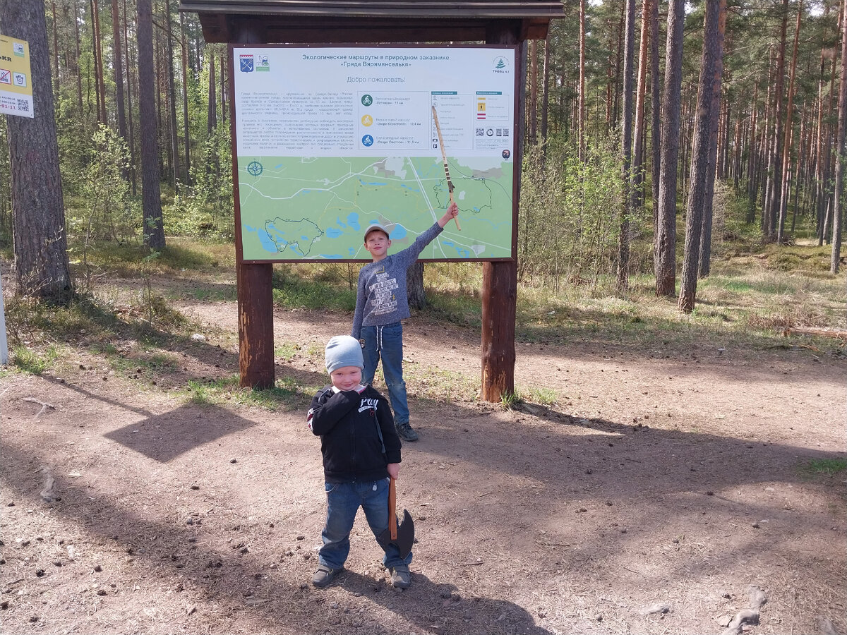 Оба "экокольца" видны на карте за Яром. Данька уверен, что топор поможет осилить оба сразу...)