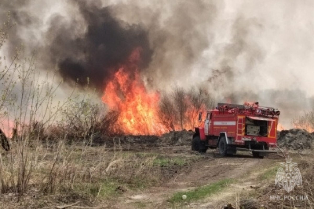    В Новосибирской области пожары повредили 15 жилых домов и 2 автомобиля