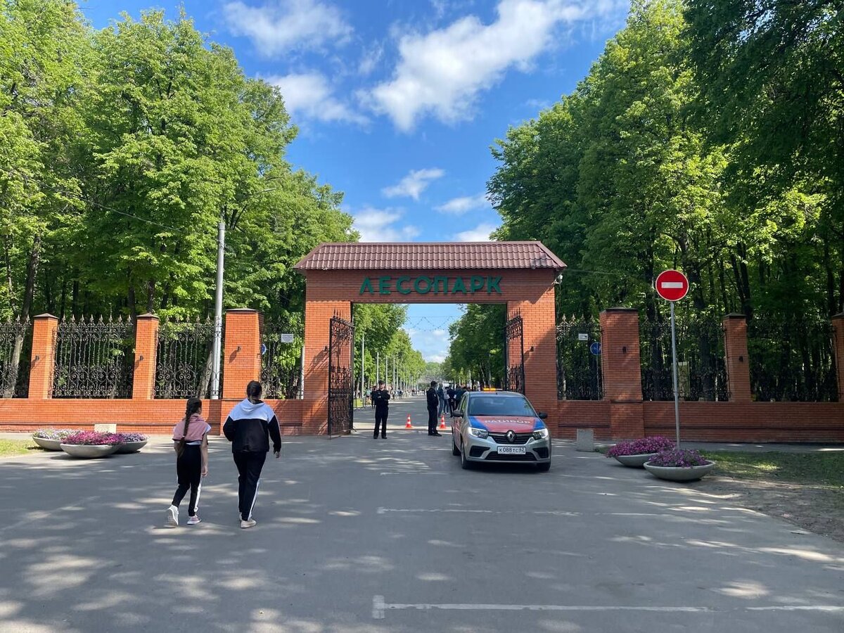 Суббота, длинное утро, 5+5 км, парки Рязани и грибы с глазами. | Про  parkrun, парковые забеги, S95, 5 вёрст и runpark | Дзен