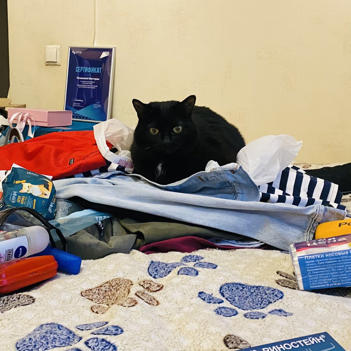 Первый шаг для отличного путешествия  - заведите кошку. Она всегда поможет собраться в поездку😂