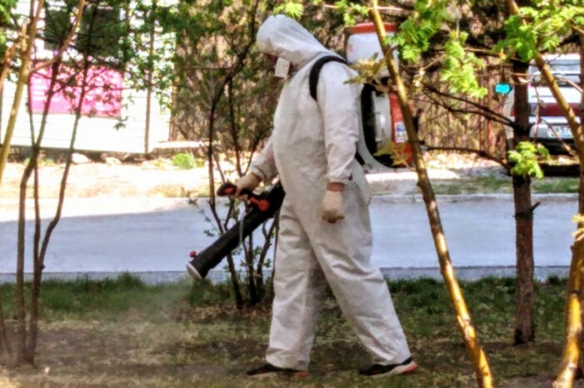    Обработка от клещей.