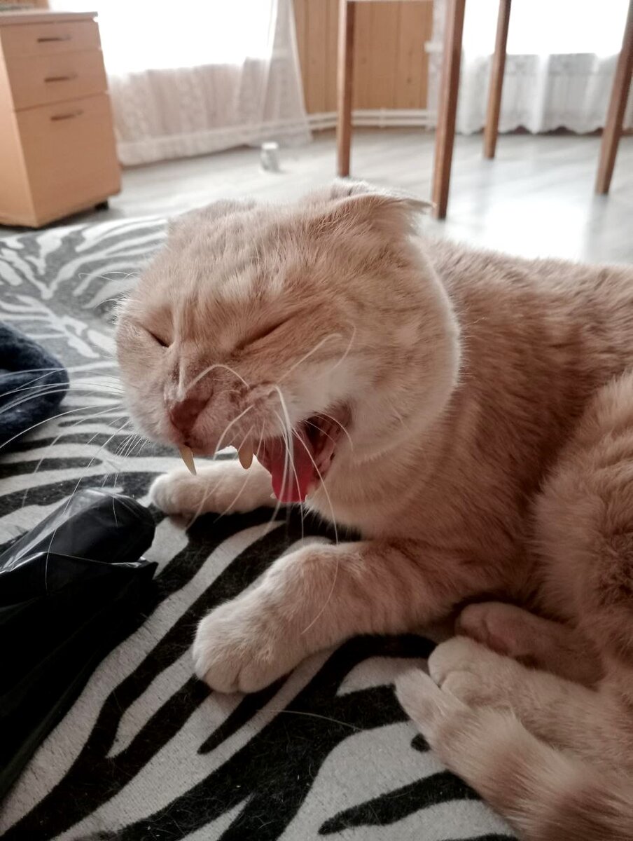 Фото из домашнего архива