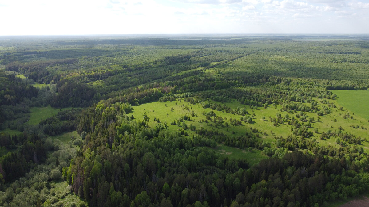 Линия на фото среди деревьев − старый тракт, уходящий вдаль. Фото сделано до запрета полётов. 