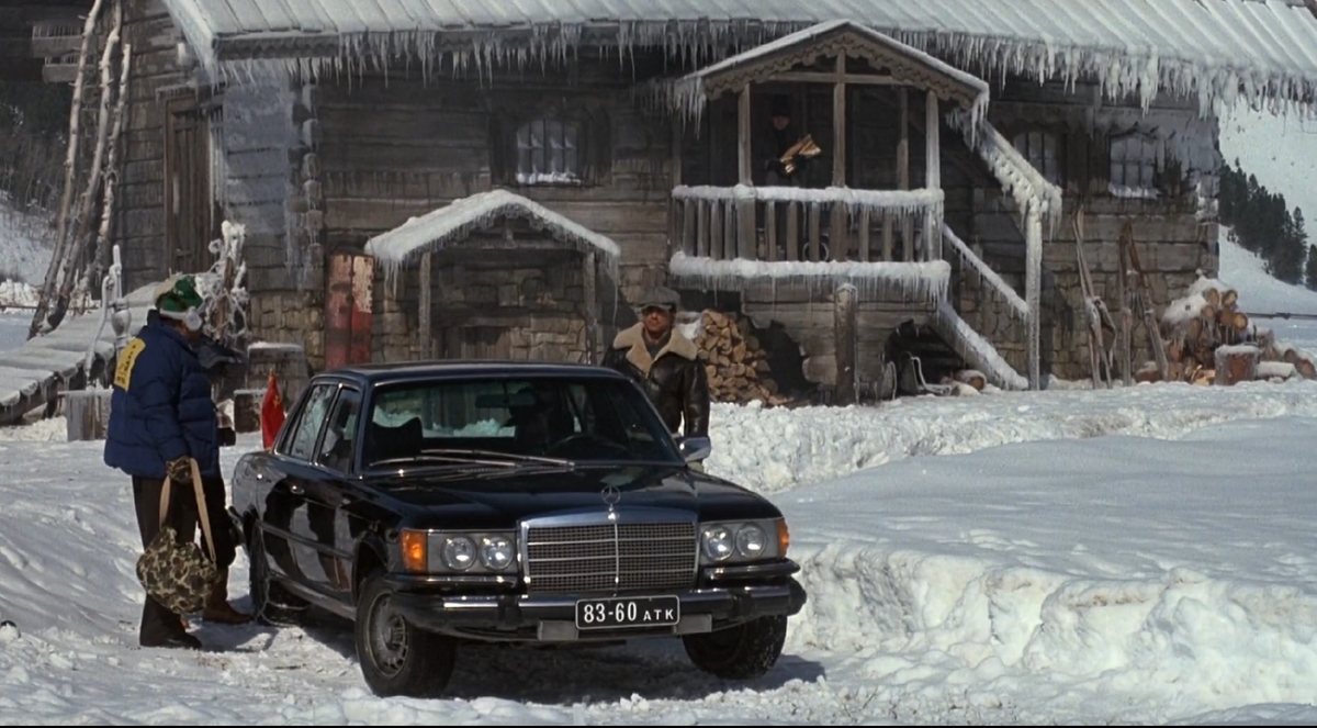 Рокки на фоне большого "русского" дома с дровами, который выглядит богато для чилийцев