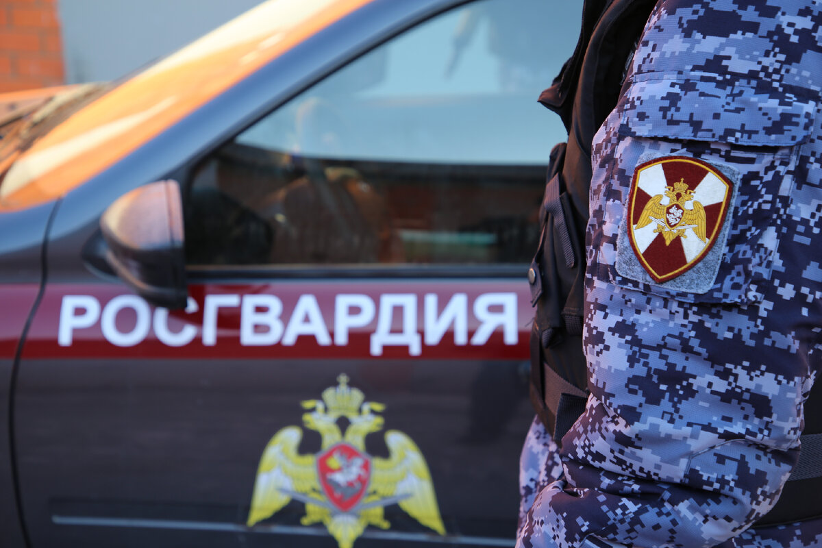 В Саранске росгвардейцы задержали местного жителя, находящегося в ...