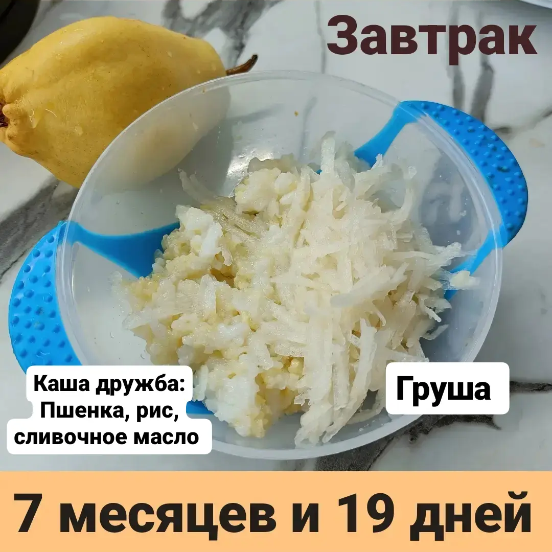 Пример тарелки в 7 месяцев 