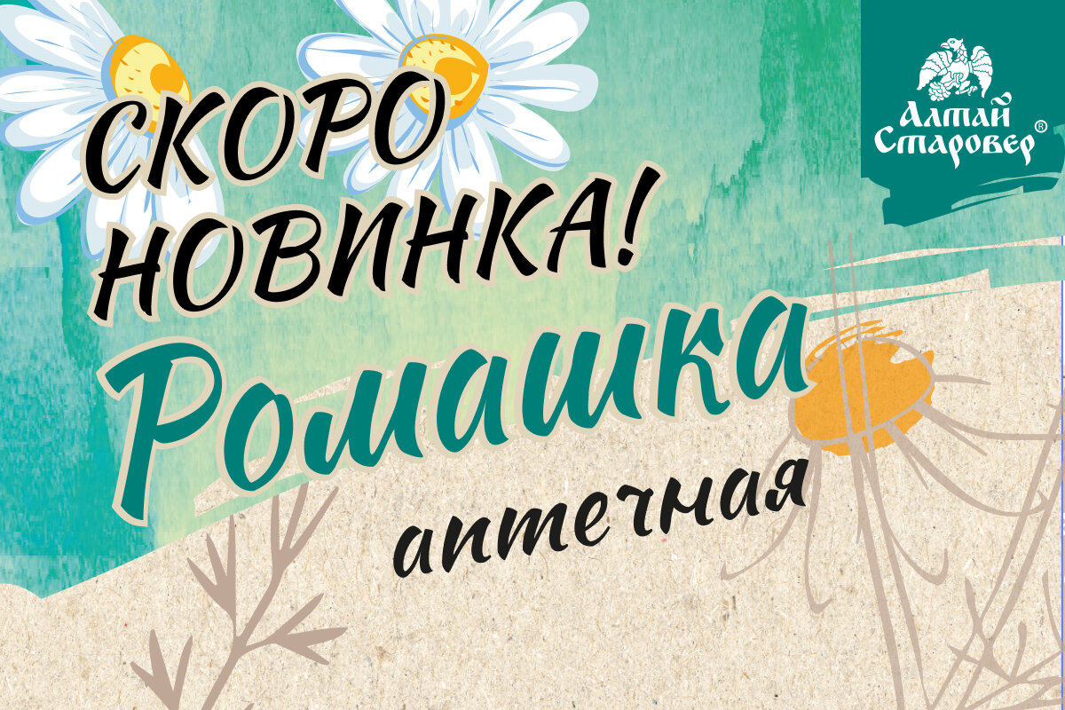 Скоро в ассортименте Алтай-старовер Ромашка аптечная - 20 фильтр-пакетов