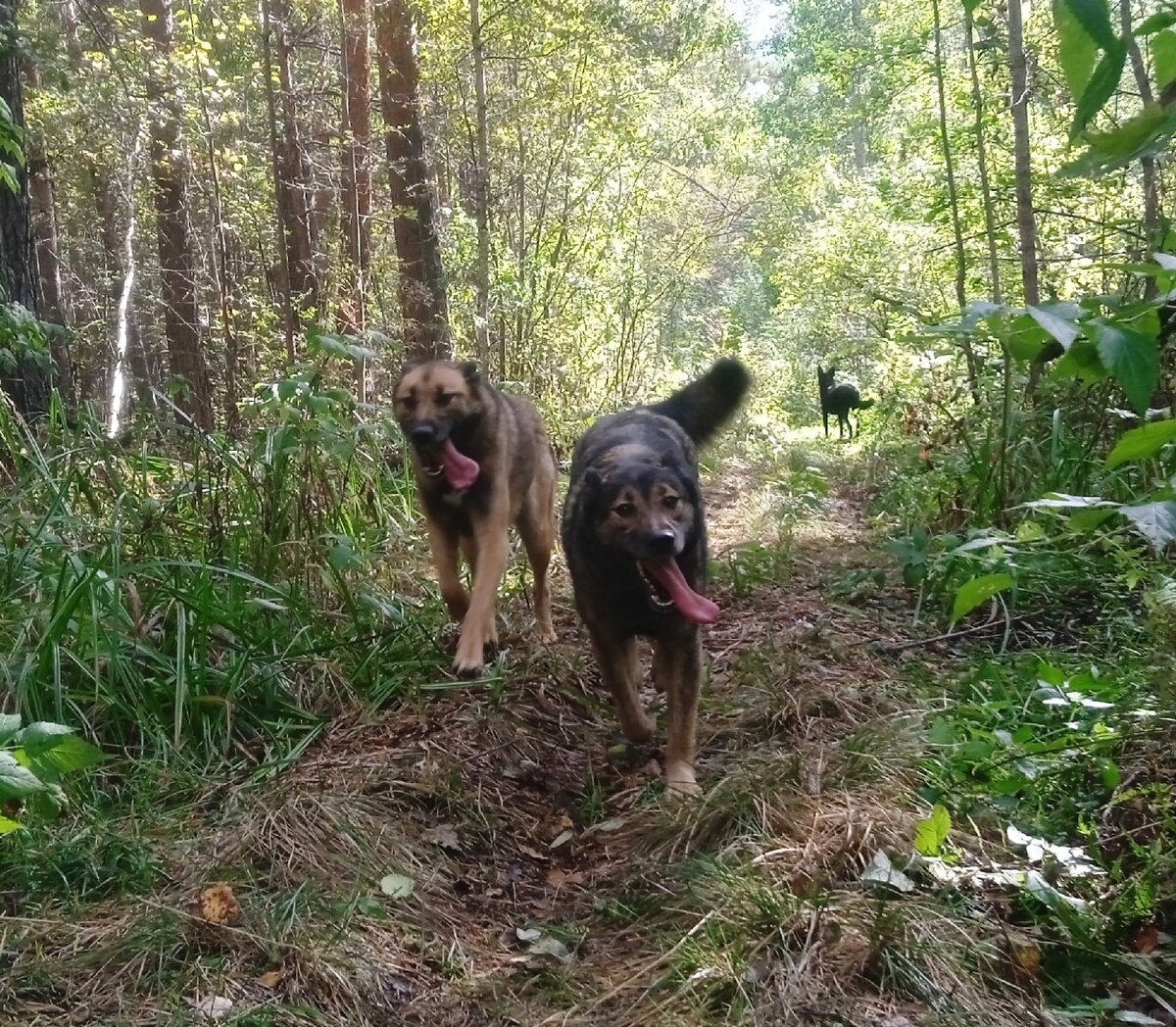 Лада и Юми. Вместе всегда. Лада - тмненькая. Юми - светленькая