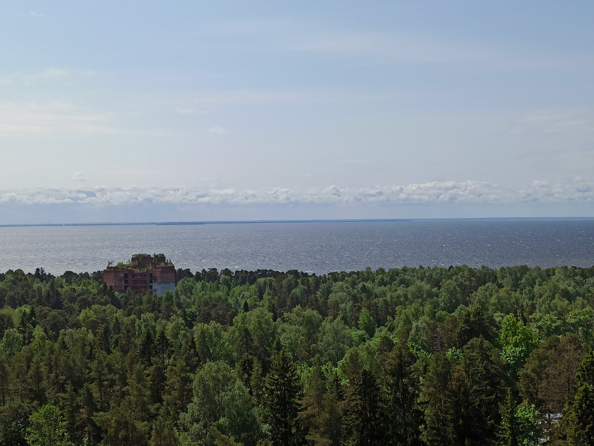 Отпуск в Зеленогорске, день 1 Заезд в санаторий 🌊🌲🌳 | Натали gluten free  life | Дзен