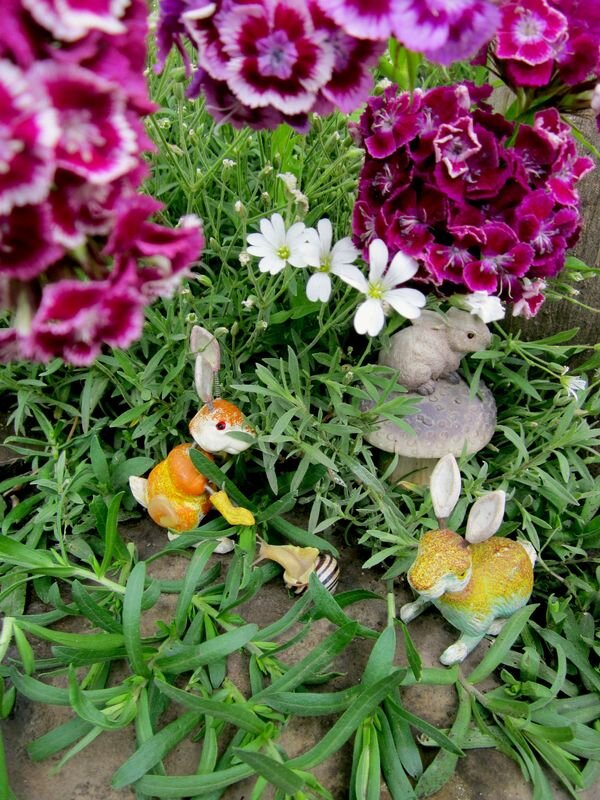 Собственное фото автора от 25 мая 2023 г