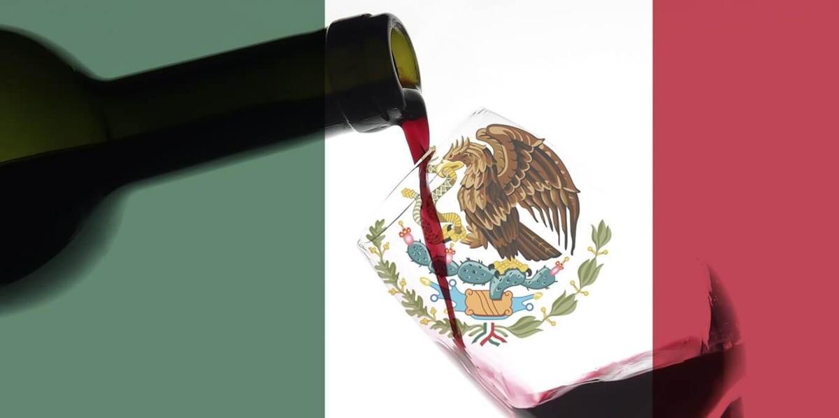 Всё, что Вам нужно знать о мексиканском вине Gordian "wine library" Дзен