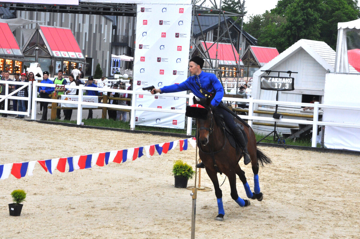 конный спорт. показательная конюшня центра национальных конных традиций. фестиваль ландшафтного дизайна в москве в мае где проходит в 2022 году. открытый московский фестиваль. открытый московский фестиваль.